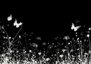 butterfly-bkg-inverted