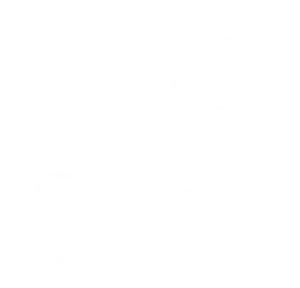 butterfly graphic