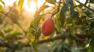 transformation begins within